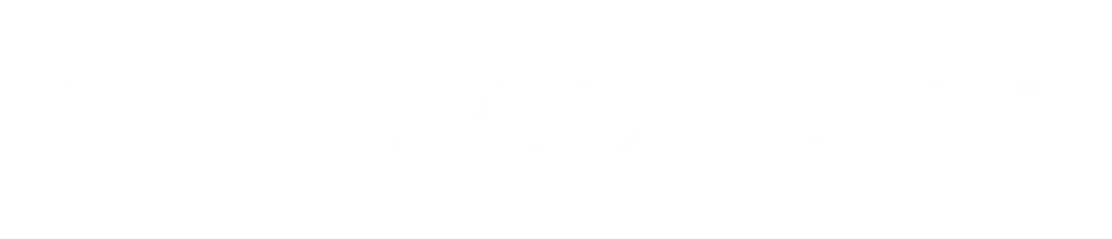 Nu Concept logo