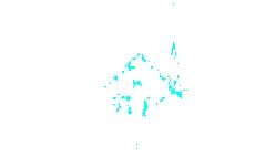 Wagga Anglican logo
