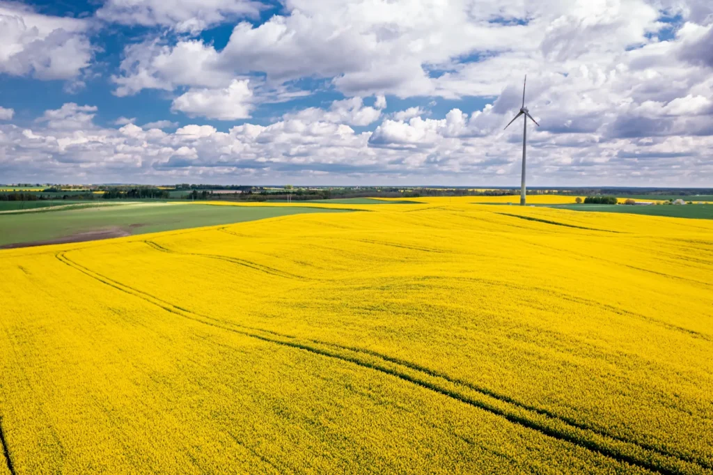 Amazing istock image of fields that look like they could be near Wagga except for the windmill