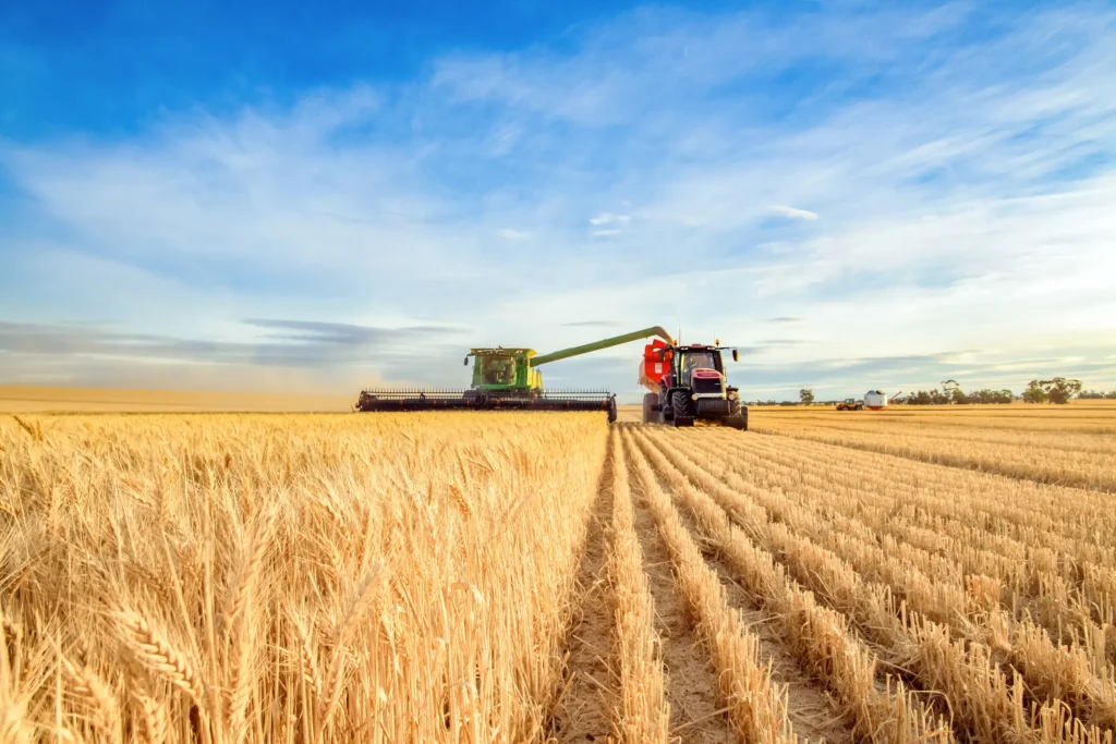 iStock Example Wagga Fields and Harvesting